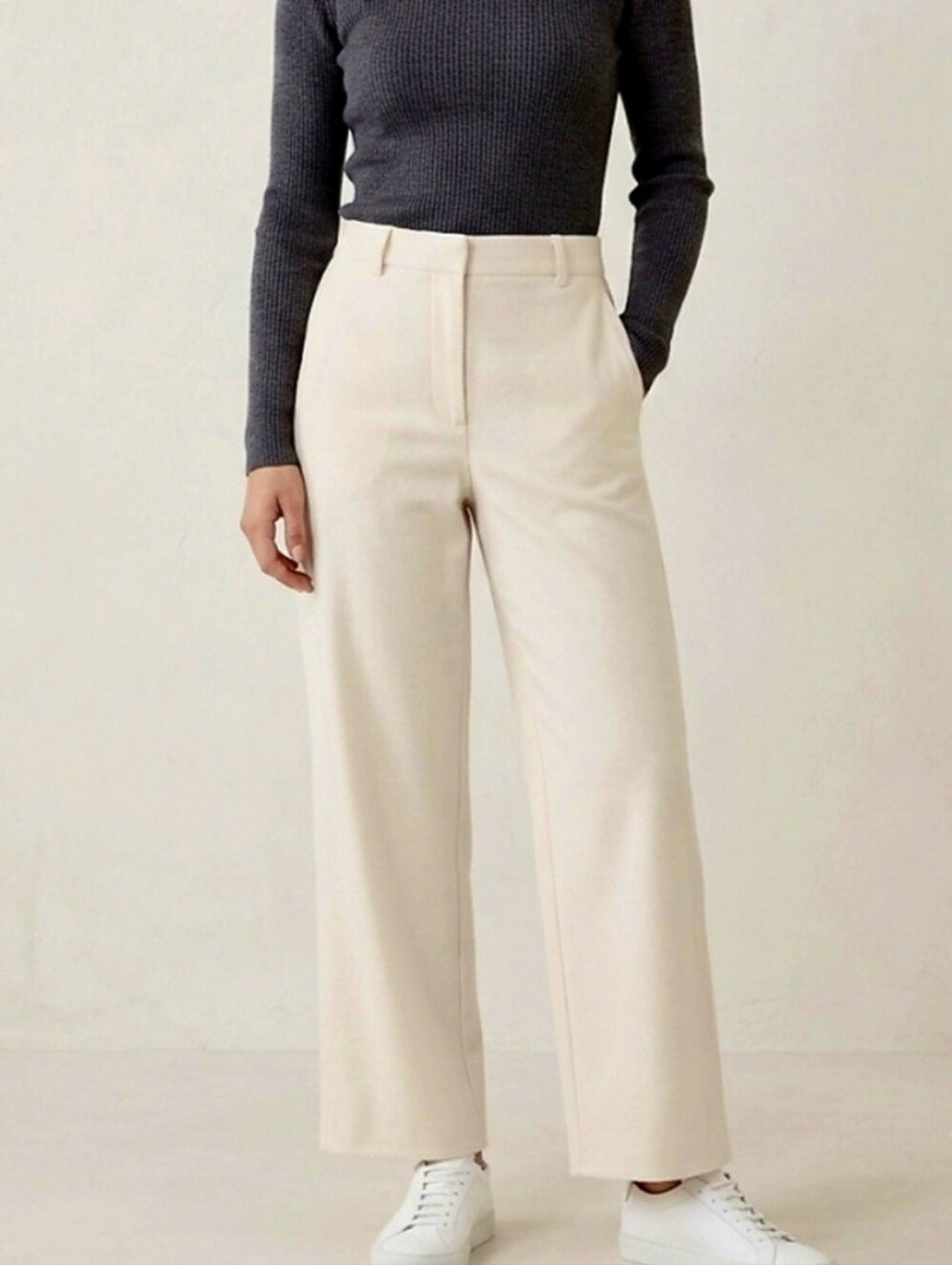 Wilfred Free Beige Tan Wide Leg High Waisted Size 4